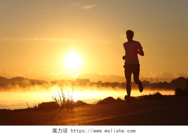 日出时一个男人在海边跑步的剪影坚持运动健身户外跑步